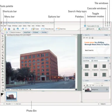 Figure 1-1: The Photoshop Elements workspace shown when you open a file in Standard Edit mode.