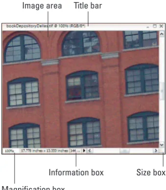 Figure 1-2: The image window displays an openfile within the Elements workspace.