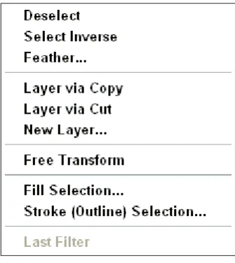 Figure 1-5: A context menu for selections.
