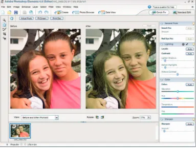 Figure 1-10: Click Quick Fix in Standard Edit mode, and the workspace changes.