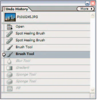 Figure 1-13: The History palette records stepsin an editing session.