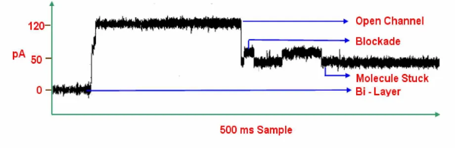 Figure 2.3 Signal trace