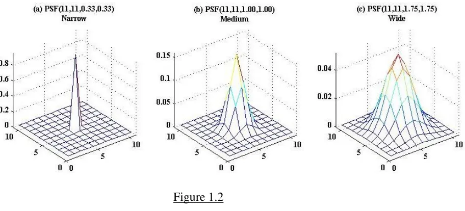      Figure 1.2  