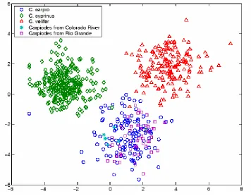 Figure 5: Plot of 650 Carpiodes specimens representing three distinct morphotypes on the first 