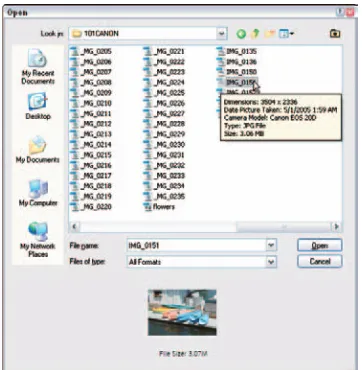 Figure 1-8: Ctrl+click to select multiple images