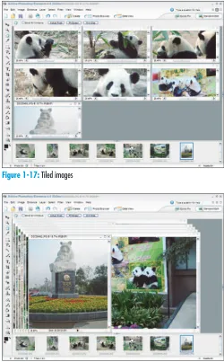 Figure 1-17: Tiled images