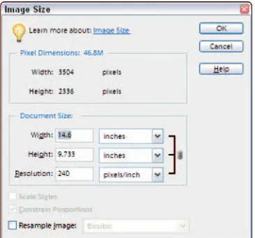 Figure 3-4: The Canvas Size dialog box