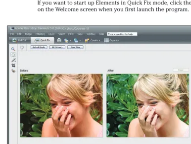 Figure 1-10: Click Quick Fix in Full Edit mode, and the workspace changes.