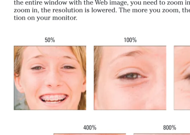 Figure 3-1: The same image is viewed at different zoom levels.