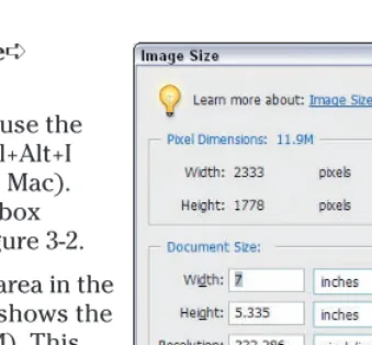 Figure 3-2: Choose Image➪Resize➪ImageSize to open the Image Size dialog box.