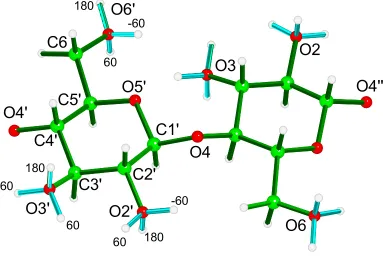 Figure 1. Cellobiose unit with the hydroxyl groups oriented in the 180, -60 and +60 orientations