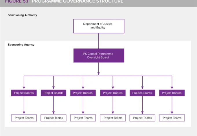 FIGURE 5.1   PROGRAMME GOVERNANCE STRUCTURE