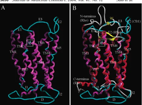 Figure 1.1.2:78modeling based CB A modeling based  CB1 receptor to the left (A) and the crystal structure determined rhodopsin (red) superimposed with the 1 receptor on the right (B) are shown with the ligand binding region boxed in