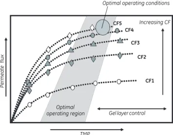 Figure 4.3: Relationship between flux and TMP at different cross flow rates.