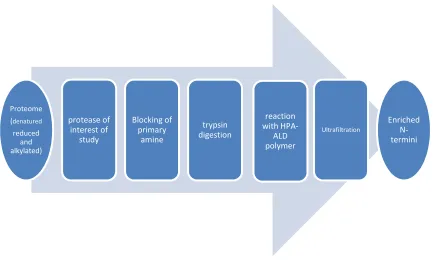 Figure 1.4 Scheme for N-TAIL workflow 59 