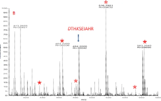 Figure 2.1 Comparison between before (A) and after (B) enrichment by NHS activated agarose resin spin column for BSA sample