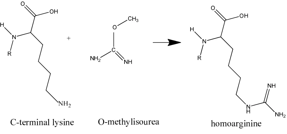 Figure 3.3 Schematic illustration of SPITC modification 