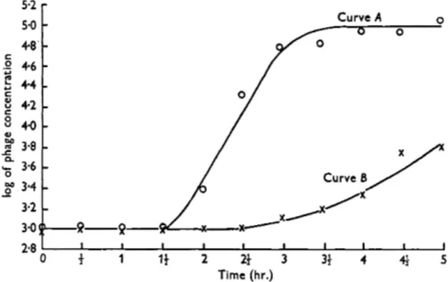 Fig. 1. The course of phage multiplication in liquid culture. Curve A: phage multiplication when there was no disturbance, i.e