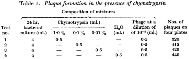 Table 1. Plaque formation in the presence of chyrnotrypsin 