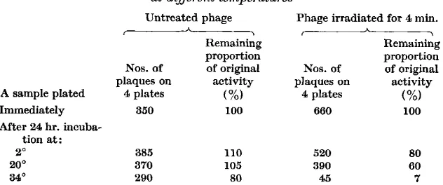 Table 6. Eflect of incubation at 34' of preparations of phage 317 ultraviolet irradiated for various lengths time 