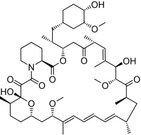 Figure 5.  The structure of rapamycin.   
