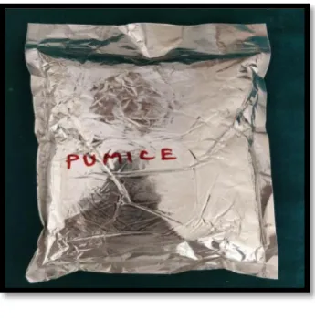 Fig 8: DENTURE SURFACE SEALANT (Palaseal) 