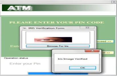 Figure 8. Captured screenshot of the user component for iris supply. 