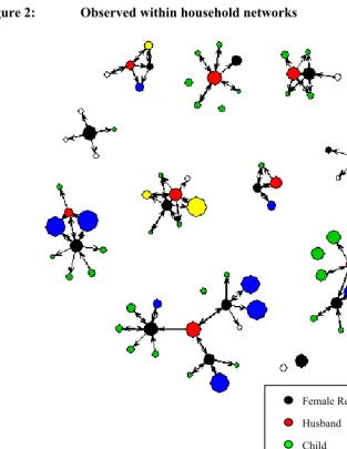 Figure 2: Observed within household networks 