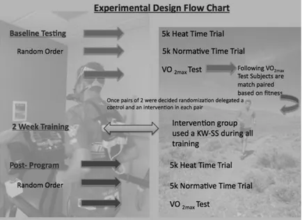 Figure 1.  Flow chart of experimental procedures for each of the two groups (control and treatment)