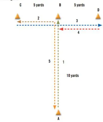 Figure 1. T-Test directions. 