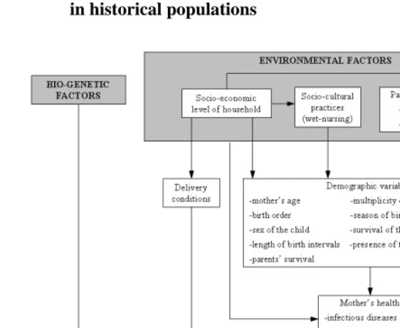 Figure 1: Conceptual framework for analyzing the interrelation between endogenous and exogenous determinants of mortality at young ages in historical populations 