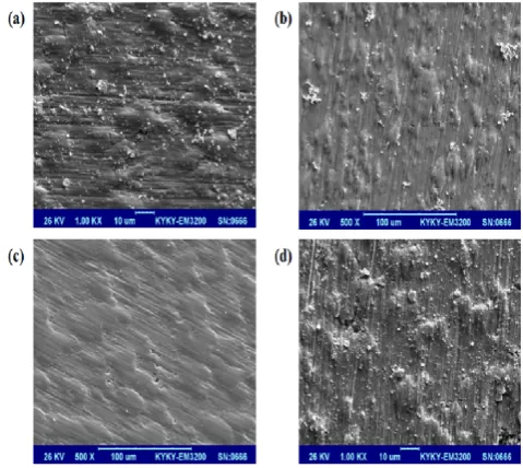 Figure. 4 MG63 osteoblast cells adhesion on titanium surfaces after 1, 2 and 4 h. Data is presented as mean ± SD; n = 3