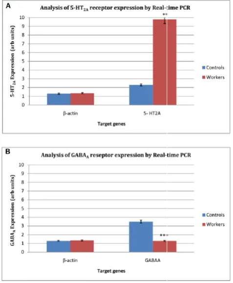 Figure 1. Quantitative analysis of the expression level of 5(A), and GABAA (B) receptor genes in PBMCsfrom workers at gas stations and control subjectsshows that the expression level of 5-HT2A and GABAsignificantly increased and decreased, respectively, in
