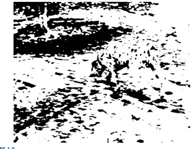 FIguRE 1.2 Image showing the effect of mental priming of the visual system. What do you see?