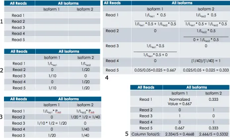 Figure 7. E and M Steps of GWIE and ChromIE. The above figures depict a simple example illustrating the isoform matrix set up for GWIE and ChromIE and how the E and M steps are applied