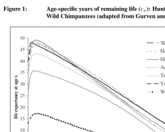 Figure 1:Age-speciﬁc years of remaining life (e x ): Hunter-gatherers andWild Chimpanzees (adapted from Gurven and Kaplan 2007)