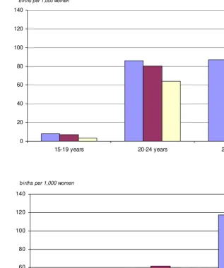 Figure 2: Age-specific fertility rates, by five year age groups and ethnicity, 