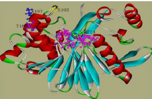Figure 5. 3-dimensional structure of methyl parathion hydrolyse and thefour indicated points of mutation [Luis