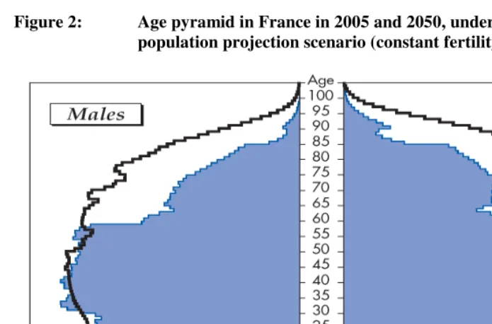 Figure 2:  Age pyramid in France in 2005 and 2050, under medium  