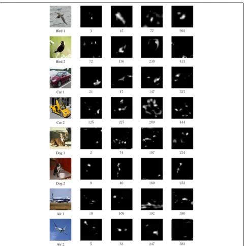 Fig. 3 Examples of several images sampled from four datasets [26–28] evaluated in this paper and picked corresponding visualized feature mapsthe digits below which are the index of channels