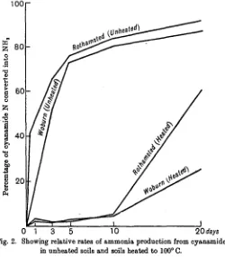Fig. 2. Showing relative rates of ammonia production from cyanamidein unheated soils and soils heated to 100° C.