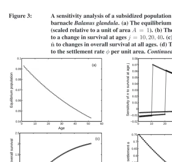 Figure 3:A sensitivity analysis of a subsidized population of the intertidalbarnacle Balanus glandula