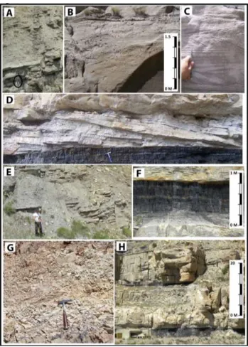 Figure 3: Representative facies photos of the Star Point and Blackhawk Formations in the north-eastern Wasatch Plateau