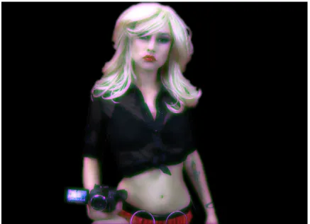Figure 3 – Video still from website, Babe-Rental.com (Heidi) 2011