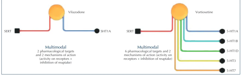 FIgUre 1. Examples of multimodal antidepressants. Esempi di antidepressivi multimodali.