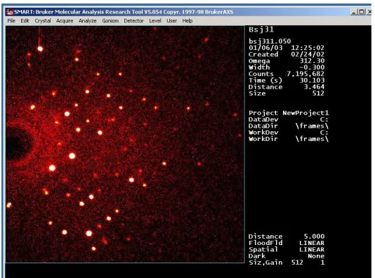 Figure 2.8.  512 X 512 pixel image. Image obtained from the actual data collected from crystal   