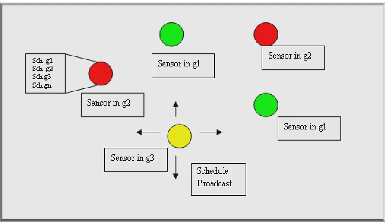 Figure 7: Sensors Broadcast and Maintain Schedules 