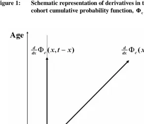 Figure 1: Schematic representation of derivatives in three directions of the cohort cumulative probability function, (x,) 