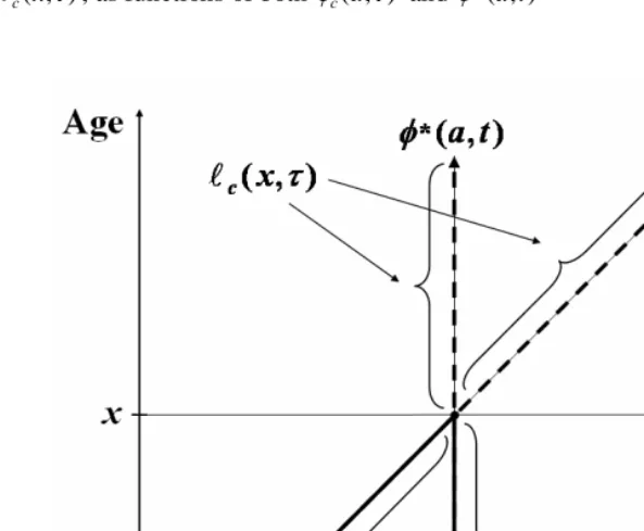 Figure 2: Illustration of relationship between cumulative quantum for cohorts and “tempo-adjusted” age-specific quantum for periods 