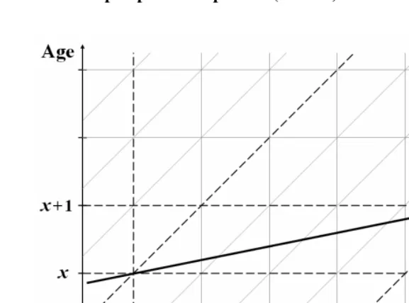 Figure 4:  Simple example illustrating intrinsic difference in slope of age trend from perspective of periods (r====2.0) and cohorts (s====.025) 